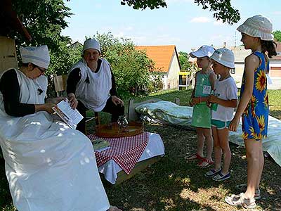 Cesta pohádkami, Dolní Třebonín 24.6.2006