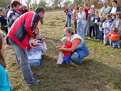 Drakiáda, Dolní Třebonín 28.10.2006