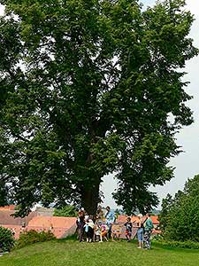 Letem světem - rozloučení se školou, Dolní Třebonín 26.6.2010