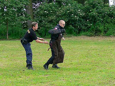 Letem světem - rozloučení se školou, Dolní Třebonín 26.6.2010