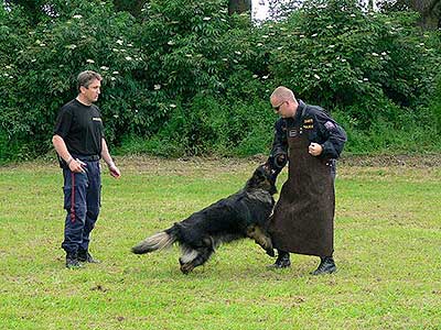 Letem světem - rozloučení se školou, Dolní Třebonín 26.6.2010