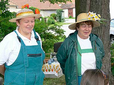 Rozloučení se školou, Dolní Třebonín 25.6.2011