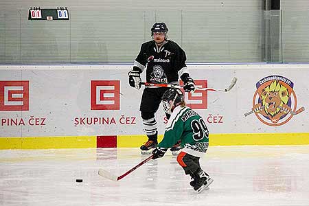 Poslední zápas hokejovýho týmu HC Downtown Fallen Leafs sezóny 2012/2013, aneb utkali se Černí s Bílými, Hokejové centrum Pouzar ...