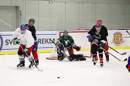 Poslední zápas hokejovýho týmu HC Downtown Fallen Leafs sezóny 2012/2013, aneb utkali se Černí s Bílými, Hokejové centrum Pouzar ...