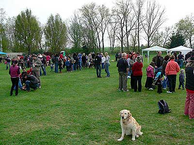 Pálení čarodějnic, Dolní Třebonín 30.4.2013, foto: Jan Švec